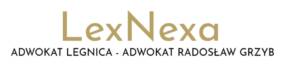 Logo LexNexa